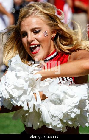 26 septembre 2015 - Lincoln, ne. États-Unis - membre de l'équipe de danse des Cornhuskers du Nebraska en action lors d'un match de football de la Division 1 de la NCAA entre les Golden Eagles du Mississippi du Sud et les Cornhuskers du Nebraska au Memorial Stadium de Lincoln, ne...Nebraska a gagné 36-28.présence : 89,899.Michael Spomer/Cal Sport Media.(crédit image : © Michael Spomer/CSM via ZUMA Wire) Banque D'Images