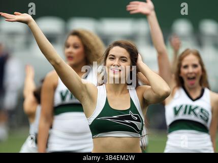 17 octobre 2015 : une pom-meneuse des Vikings de l'État de Portland divertit les fans pendant le match de football NCAA entre les Vikings et les Bobcats de l'État de Montana à Providence Park, Portland, OREGON. Larry C. Lawson/CSM(crédit image : © Larry C. Lawson/CSM via ZUMA Wire) Banque D'Images