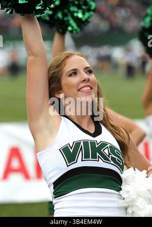 17 octobre 2015 : une pom-meneuse des Vikings de l'État de Portland divertit les fans pendant le match de football NCAA entre les Vikings et les Bobcats de l'État de Montana à Providence Park, Portland, OREGON. Larry C. Lawson/CSM(crédit image : © Larry C. Lawson/CSM via ZUMA Wire) Banque D'Images
