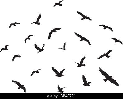 Silhouettes d'oiseaux volants – flot vectoriel noir et blanc minimaliste en mouvement et scène de migration du ciel Illustration de Vecteur