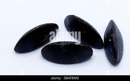 Collection de bonbons à la réglisse noirs de forme ovale disposés sur une surface blanche Banque D'Images