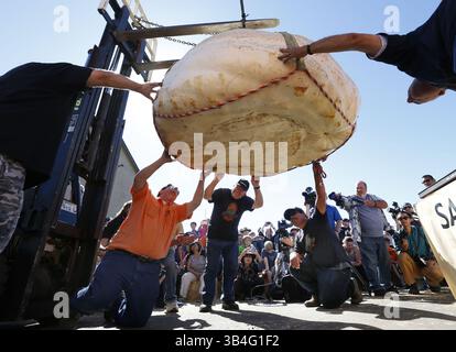 12 oct. 2015 - Half Moon Bay, CA, États-Unis - les juges inspectent la participation de Steve Daletas à la citrouille au Championnat du monde Safeway Pumpkin Weigh-Off le lundi 12 oct. 2015, à Half Moon Bay, Calif. Le Pleasant Hill, Oregon, la gourde de de l'homme pesait 1 969 livres pour le premier prix. (Crédit image : © Karl Mondon/TNS via ZUMA Wire) Banque D'Images