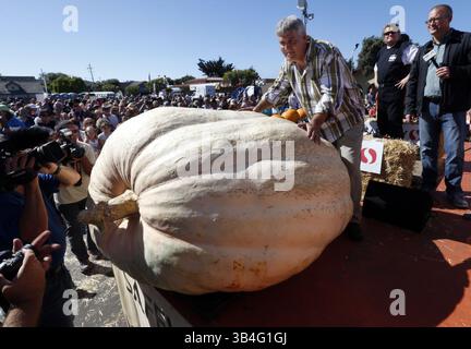 12 oct. 2015 - Half Moon Bay, CA, États-Unis - Steve Daletas, de Pleasant Hill, Oregon, pose avec sa citrouille gagnante de 1 969 livres au Safeway World Championship Pumpkin Weigh-Off le lundi 12 oct. 2015, à Half Moon Bay, Calif. Daletas a été le grand gagnant en 2003. (Crédit image : © Karl Mondon/TNS via ZUMA Wire) Banque D'Images