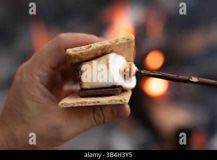 Gros plan torréfaction de guimauves à la main en profitant de plus près d'un feu de camp. Concept de cuisine de camping. Banque D'Images