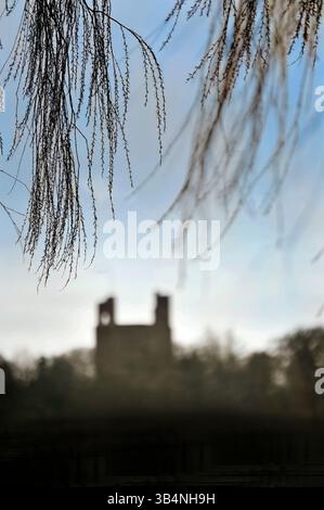 branches d'arbres traînant au-dessus de l'image défocalisée du château de hedingham, essex, angleterre Banque D'Images