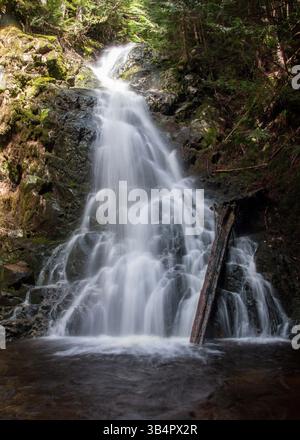 Une superbe cascade coule sur un terrain rocheux, entouré d'arbres verts denses. La lumière du soleil filtre à travers les feuilles, éclairant l'eau comme il spla Banque D'Images