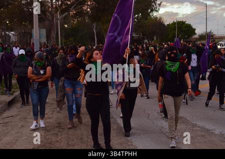 21 février 2020, Tijuana, basse Californie, Mexique : trois groupes distincts de womenâ€™ ont défilé ensemble pour protester à la frontière américano-mexicaine, près du poste de contrôle de San Ysidro-Tijuana à l'entrée de Chaparral, pour attirer l'attention sur la violence contre les femmes, les fémicides, dans la ville de Tijuana. Les flics fédéraux, municipaux et la garde nationale se sont rassemblés pour les empêcher d’avancer plus loin dans la région le vendredi 21 février 2020. (Crédit image : © Carlos A. Moreno/ZUMA Press Wire) Banque D'Images