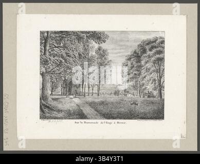 Cette lithographie de Franz Schmid, réalisée au XIXe siècle, met en valeur la Promenade de l'Enge à Berne. Imprimé par Haller à Berne, il capture la beauté sereine de la promenade de la ville et du paysage environnant, reflétant la Suisse du XIXe siècle Banque D'Images
