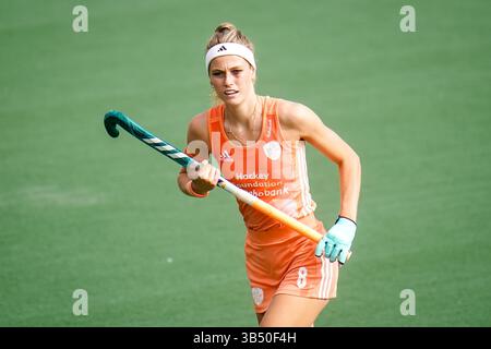 Amstelveen, pays-Bas. 27th juin 2023. AMSTELVEEN, PAYS-BAS - JUIN 27: Yibbi Jansen, des pays-Bas, regarde pendant le match des femmes de la FIH Hockey Pro League entre les pays-Bas et la Nouvelle-Zélande au Wagener Stadion 27 juin 2023 à Amstelveen, pays-Bas (photo de René Nijhuis/BSR Agency) crédit: BSR Agency/Alay Live News Banque D'Images
