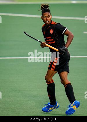 Amstelveen, pays-Bas. 27 juin 2023. AMSTELVEEN, PAYS-Bas - JUIN 27 : Terrance Pieters, des pays-Bas, regarde le match masculin de la FIH Hockey Pro League entre les pays-Bas et l'Allemagne au stade de Wagener le 27 juin 2023 à Amstelveen, pays-Bas (photo de René Nijhuis/Agence BSR) crédit : Agence BSR/Alamy Live News Banque D'Images