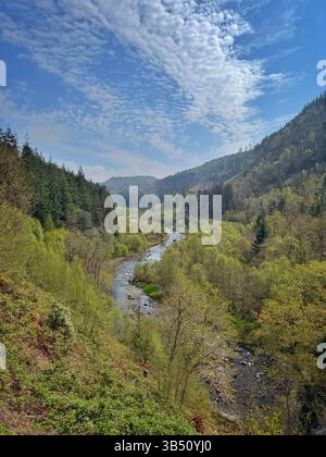 Vue le long de la vallée d'Ystwyth, Ceredigion, pays de Galles occidental. Banque D'Images