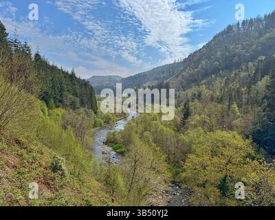 Vue le long de la vallée d'Ystwyth, Ceredigion, pays de Galles occidental. Banque D'Images