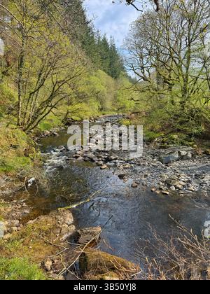 Vue le long de la vallée d'Ystwyth, Ceredigion, pays de Galles occidental. Banque D'Images