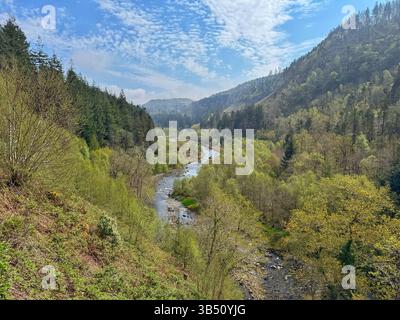 Vue le long de la vallée d'Ystwyth, Ceredigion, pays de Galles occidental. Banque D'Images