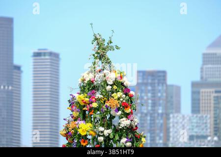Londres, Royaume-Uni. 1er mai 2025. La troupe Fowlers Deptford Jack in the Green célèbre le 1er mai avec une procession folklorique anglaise relancée le long de la Tamise, avec des arrêts dans les pubs locaux le long du chemin. La foule suit le Jack, un cadre recouvert de feuilles de laurier et d’autres verdure, qui est distribué aux participants en fin de journée. Crédit : onzième heure photographie/Alamy Live News Banque D'Images