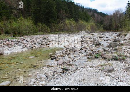 Rocky Creek qui coule à travers le paysage boisé serein Banque D'Images