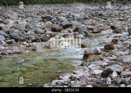 Ruisseau de montagne qui coule au-dessus des rochers dans Spring Forest Banque D'Images