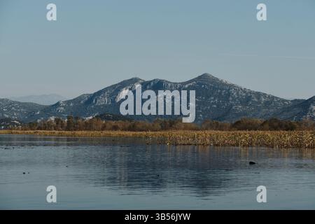 Une vue imprenable sur les montagnes monténégrines luxuriantes et les rives recouvertes de roseaux du lac Skadar sous un ciel bleu clair, reflétant magnifiquement sur le reste wa Banque D'Images