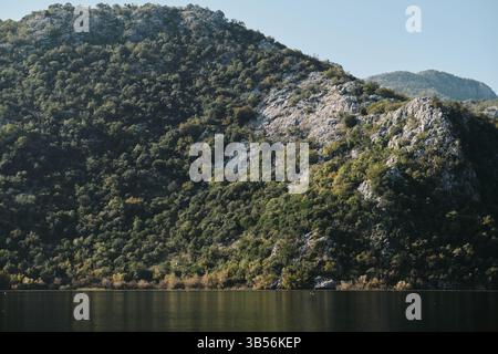 Une pente de montagne boisée se reflète dans les eaux calmes du lac Skadar, Monténégro. Une vue tranquille sur la nature balkanique en lumière douce du jour Banque D'Images