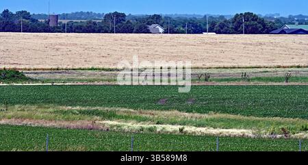 18 juin 2022, Emporia, Kansas, États-Unis : les champs de blé mûrissent en se préparant à être coupés cette semaine et le grain envoyé aux marchés du monde entier. (Crédit image : © Mark Reinstein/ZUMA Press Wire) Banque D'Images