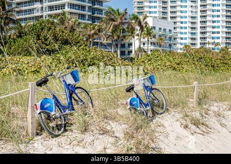 Miami Beach Floride, plage publique, programme de partage de vélo, vélos de location CitiBike, stations bleues de location de vélos, vélos garés dans le sable, transpo en bord de mer Banque D'Images