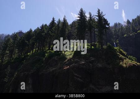 13 juillet 2022, Hood River, Oregon, États-Unis : la forêt le long de la rivière Columbia près de Hood River, Oregon est un endroit populaire pour la planche à voile et le kitesurf. C'est une ville pittoresque le long de la gorge du fleuve Columbia. (Crédit image : © Karen Focht/ZUMA Press Wire) Banque D'Images