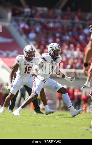 10 septembre 2022 : Jordan Strachan #7 South Carolina Defensive End arrive sur le terrain. L'Arkansas a battu la Caroline du Sud 44-30 à Fayetteville, AR, Richey Miller/CSM (crédit image : © Richey Miller/CSM via ZUMA Press Wire) Banque D'Images