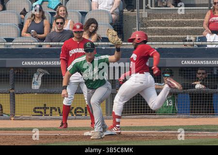 11 septembre 2022, Vancouver, Colombie-Britannique, Canada : Max Wright des Emeralds d'Eugene presse le baseball alors que Miguel Hiraldo des Canadiens de Vancouver est appelé à la première base lors du dernier match à domicile de la saison régulière au stade Nat Bailey de Vancouver, Colombie-Britannique. (Crédit image : © Ryan Walter Wagner/ZUMA Press Wire) Banque D'Images
