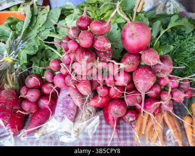 Betteraves fraîches vibrantes du jardin, présentées sur un marché local, parfaites pour des repas sains et biologiques, vue de face avec l'espace de copie. Banque D'Images