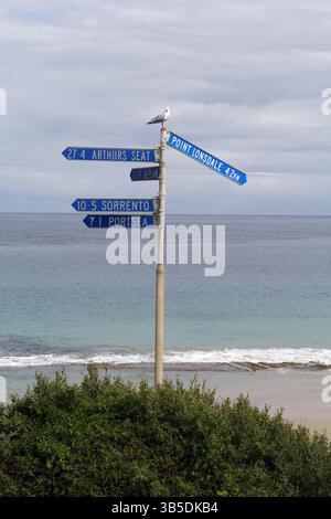 Plusieurs panneaux directionnels à Queenscliff Beach pointant vers Arthurs Seat, point Lonsdale, Sorrento et Portsea avec un mouette argentée assis Banque D'Images