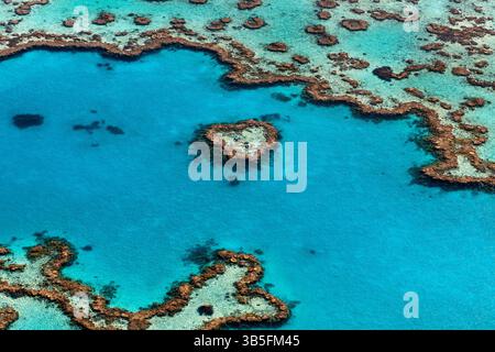 Photo aérienne de Heart Reef dans la Grande barrière de corail, classée au patrimoine mondial de l'Australie. Banque D'Images