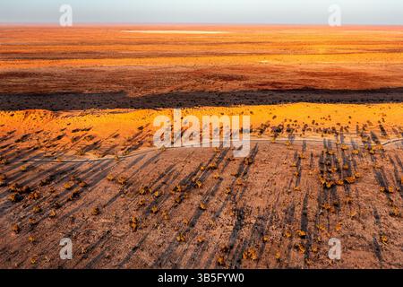 Prise de vue aérienne des dunes du désert de Simpson et d'une piste reculée dans l'Outback du Queensland. Banque D'Images