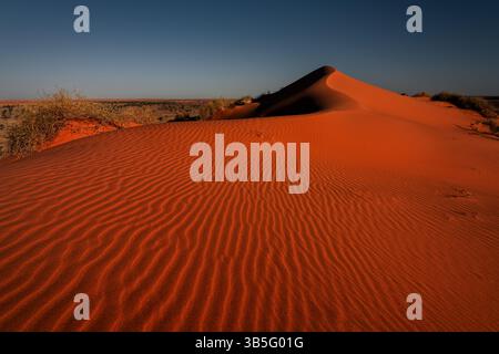 Comme une œuvre d'art naturelle s'élèvent les dunes de sable rouge du désert de Simpson des plaines sèches. Banque D'Images