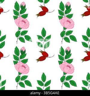 Motif floral sans couture dans le style de dessin à la main. Rosehip. Modèle pour textile ou cuisine Illustration de Vecteur