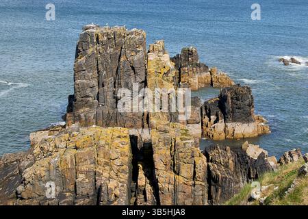 Moray littoral près de Macduff Écosse une grande formation rocheuse près du littoral Banque D'Images