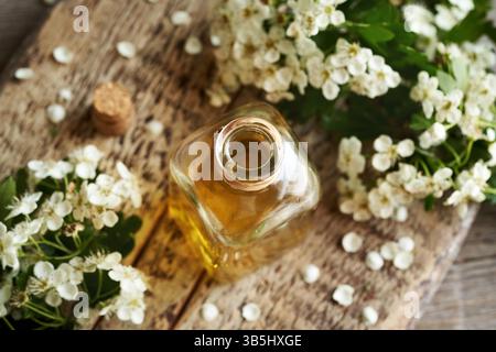 Une bouteille de teinture à base de plantes avec des fleurs d'aubépine fraîches au printemps Banque D'Images