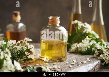 Une bouteille de teinture à base de plantes avec des fleurs d'aubépine fraîches récoltées au printemps Banque D'Images
