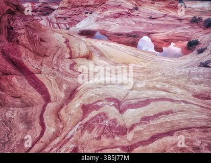 Sandtone Coyote Buttes North dans la formation, l'onde. Paria Canyon Vermillion Cliffs Wilderness. Utah/Arizona Banque D'Images