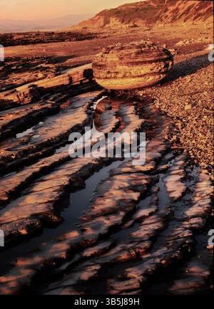 Lits de grès inclinés au Montana de Oro State Park, Californie. Banque D'Images