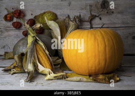 Happy Thanksgiving Day, décoration sur une table en bois avec des citrouilles, des feuilles d'automne et de rafles Banque D'Images