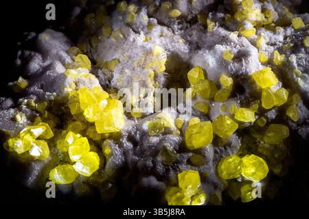 Macro photographie de cristaux de soufre jaune vif formés sur une matrice minérale blanche. Les structures cristallines naturelles sont clairement définies Banque D'Images
