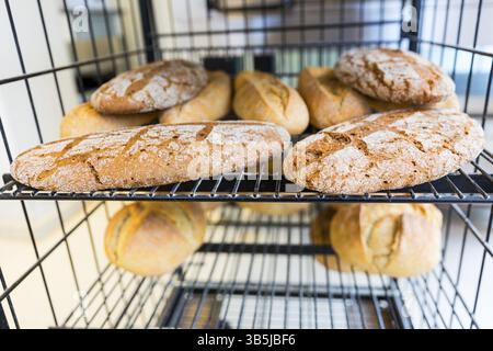 Pains sans gluten. Fait avec levain et épeautre. Nourriture sans gluten. Montré sur une table noire dans une petite boulangerie familiale Banque D'Images