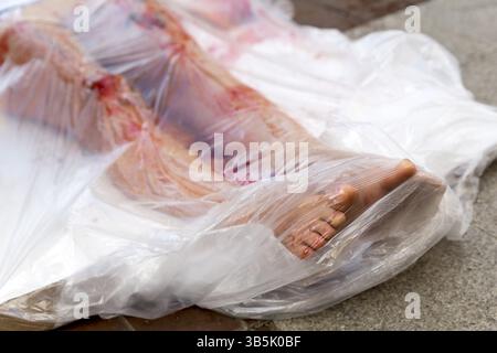 Les végétaliens et végétariens militants des droits des animaux se sont couverts de sang et se sont enveloppés dans des emballages de viande pour protester contre le meurtre des animaux Banque D'Images