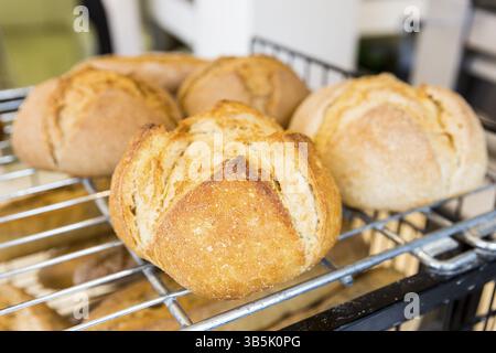 Pains ronds sans gluten. Fait avec levain et épeautre. Nourriture sans gluten. Montré sur une table noire dans une petite boulangerie familiale Banque D'Images
