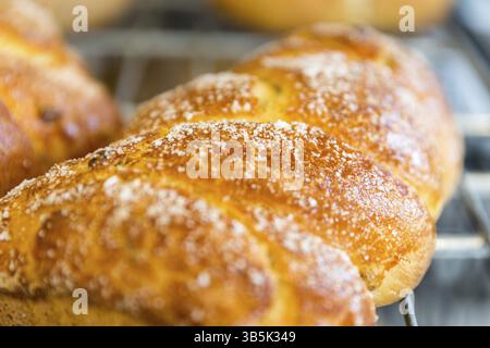 Une miche de pain de Pâques sucré tressé sur une étagère dans une petite boulangerie familiale. Poudrés de sucre. Fait avec levain et épeautre. Sans gluten Banque D'Images