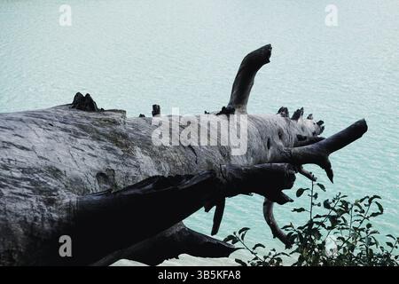 18 septembre 2022, Zabljak, Monténégro : le lac Noir, Crno Jezero, dans la municipalité de Å½abljak dans le nord du Monténégro, est un lac glaciaire, situé sur le mont Durmitor au pied du pic MeÄ'ed, à une altitude de 1 416 mètres. (Crédit image : © Nir Alon/ZUMA Press Wire) Banque D'Images