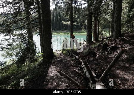 18 septembre 2022, Zabljak, Monténégro : le lac Noir, Crno Jezero, dans la municipalité de Å½abljak dans le nord du Monténégro, est un lac glaciaire, situé sur le mont Durmitor au pied du pic MeÄ'ed, à une altitude de 1 416 mètres. (Crédit image : © Nir Alon/ZUMA Press Wire) Banque D'Images
