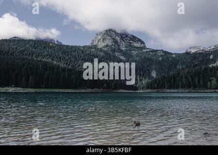 18 septembre 2022, Zabljak, Monténégro : le lac Noir, Crno Jezero, dans la municipalité de Å½abljak dans le nord du Monténégro, est un lac glaciaire, situé sur le mont Durmitor au pied du pic MeÄ'ed, à une altitude de 1 416 mètres. (Crédit image : © Nir Alon/ZUMA Press Wire) Banque D'Images