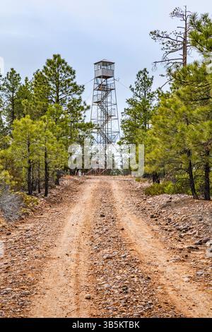 Tour d'observation de feu de Deer Springs, plateau de Mogollon au-dessus de Mogollon Rim, plateau du Colorado, forêt nationale Apache Sitgreaves, Arizona, États-Unis Banque D'Images
