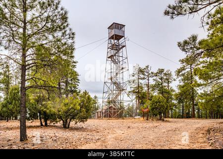 Tour d'observation de feu de Deer Springs, plateau de Mogollon au-dessus de Mogollon Rim, plateau du Colorado, forêt nationale Apache Sitgreaves, Arizona, États-Unis Banque D'Images